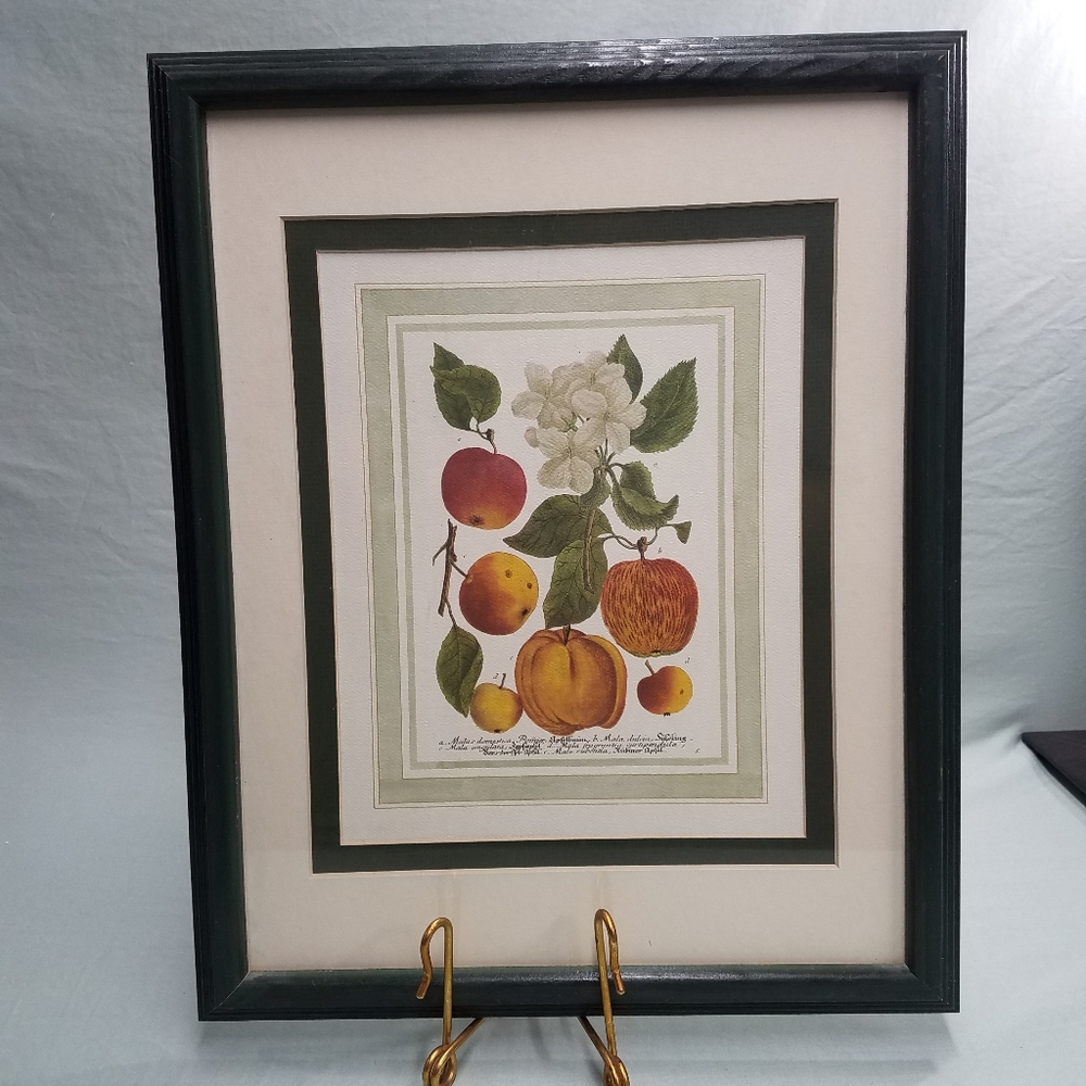Apple Print